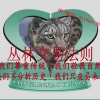 相农老师 丛林...