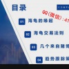 薛松 海龟行为...
